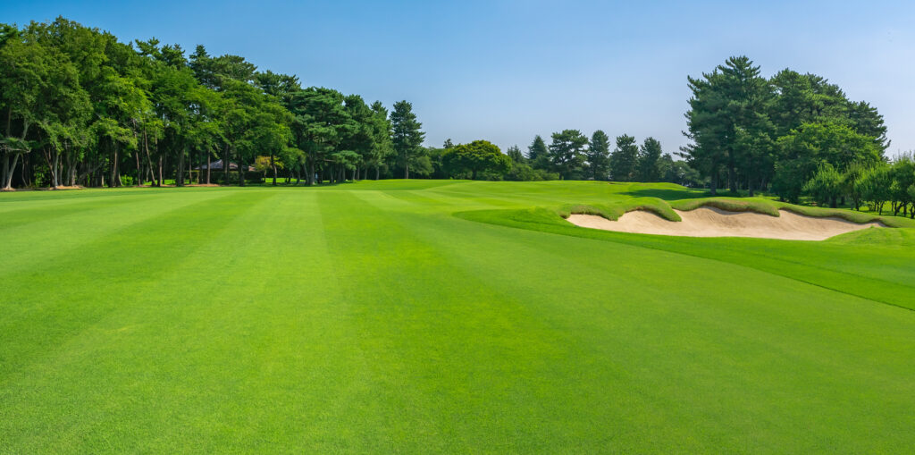 The Greenaway Foundation Golf Day 2026